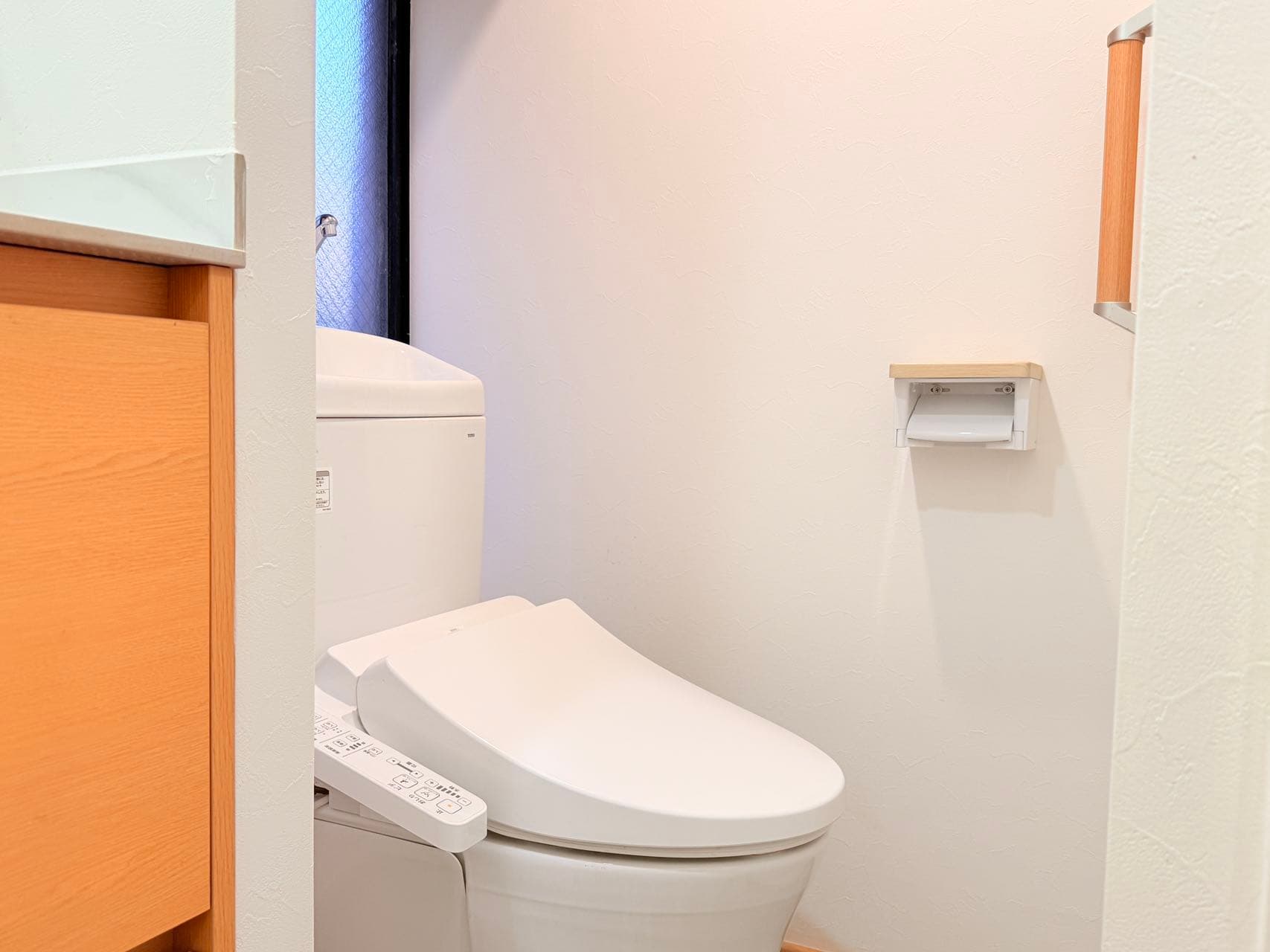 Private toilet with washlet